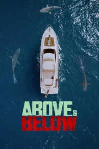above and below 2026